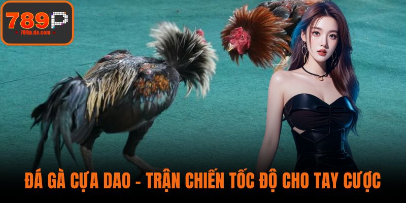 Đá Gà Cựa Dao – Trận Chiến Tốc Độ Cho Tay Cược Sành Sỏi