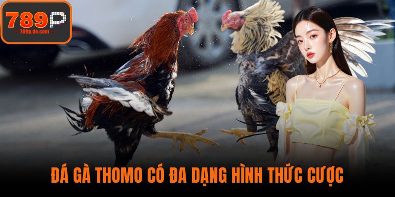 Đá gà Thomo có đa dạng hình thức cược