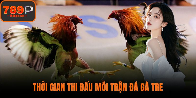 Thời gian thi đấu mỗi trận đá gà tre
